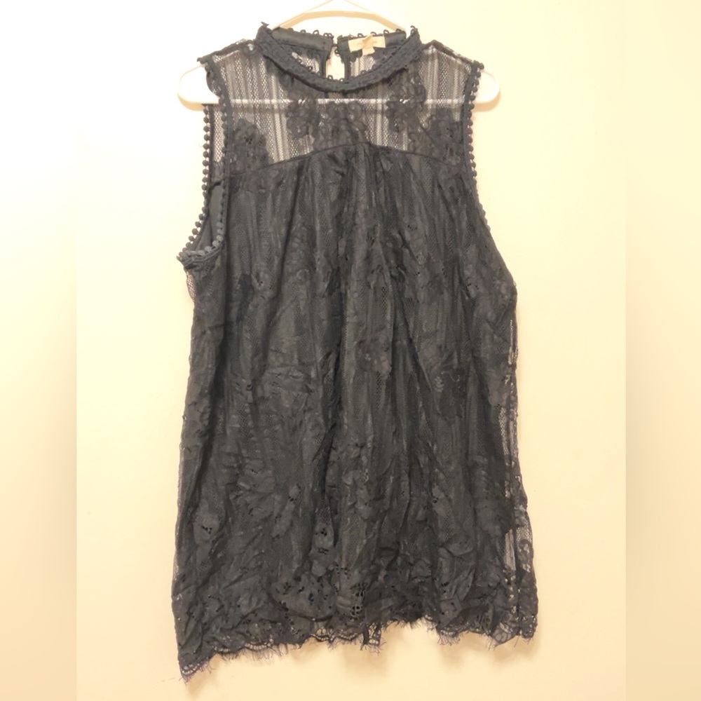 Paper + Tee Black Floral Mesh Lace Sleeveless Lined Top 2X